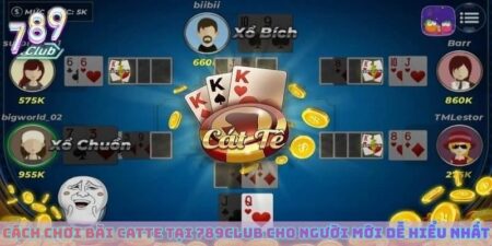 Cách Chơi Bài Catte Tại 789club Cho Người Mới Dễ Hiểu Nhất