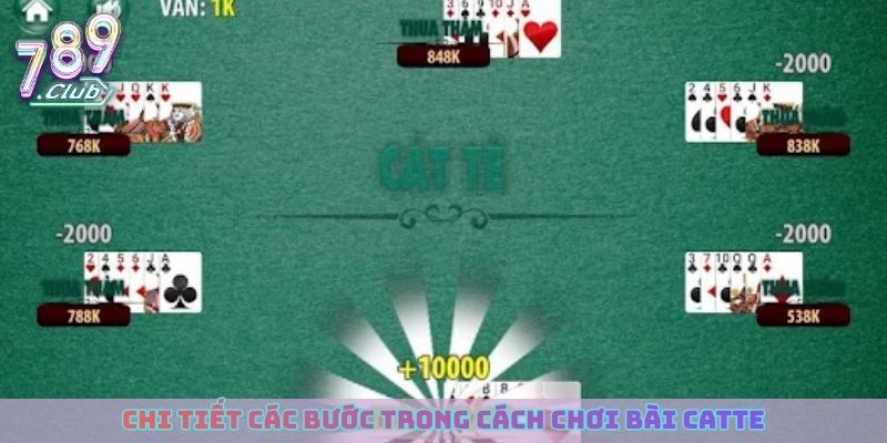 Chi tiết các bước trong cách chơi bài catte tại 789club