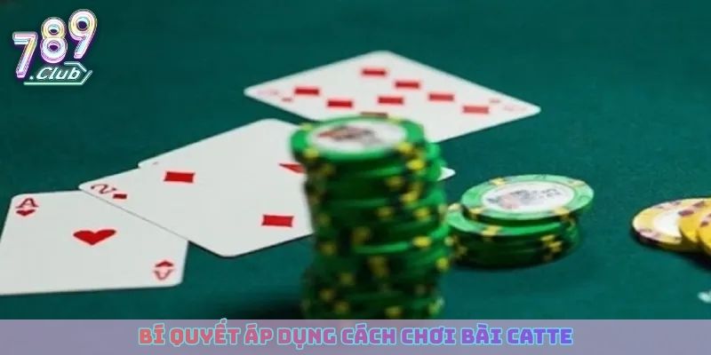 Bí quyết áp dụng cách chơi bài catte hiệu quả cho bet thủ
