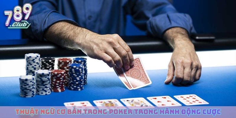 Thuật ngữ cơ bản trong poker trong hành động cược
